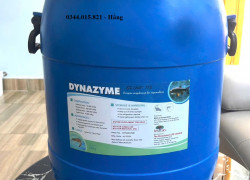 Enzyme tăng trọng Dynazyme, enzyme tiêu hóa dùng trong thú y, thủy sản